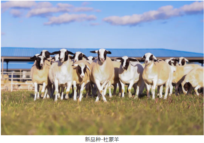 1674888072459115.png image.png