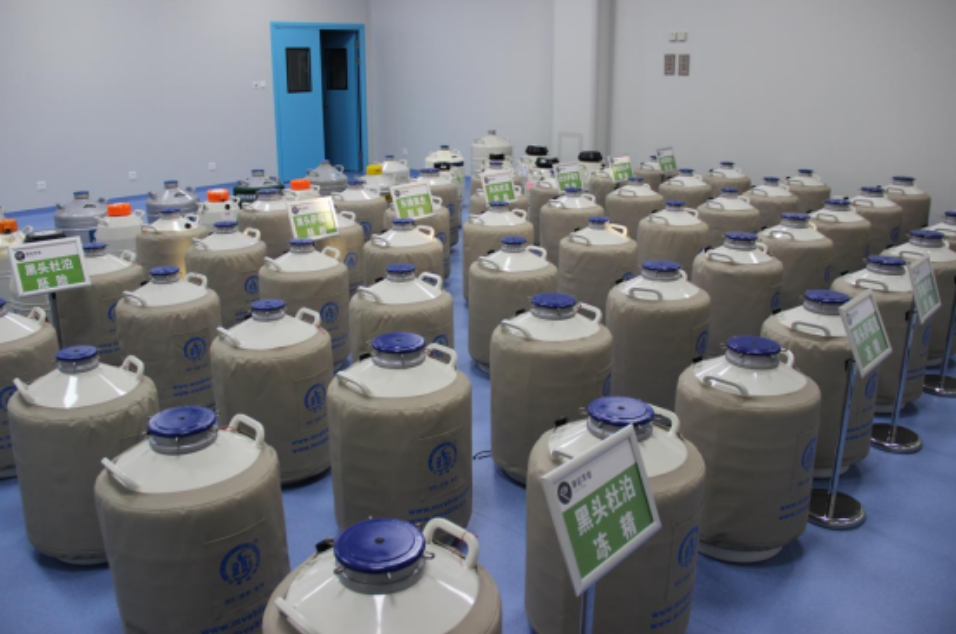 1686992324829862.png image.png