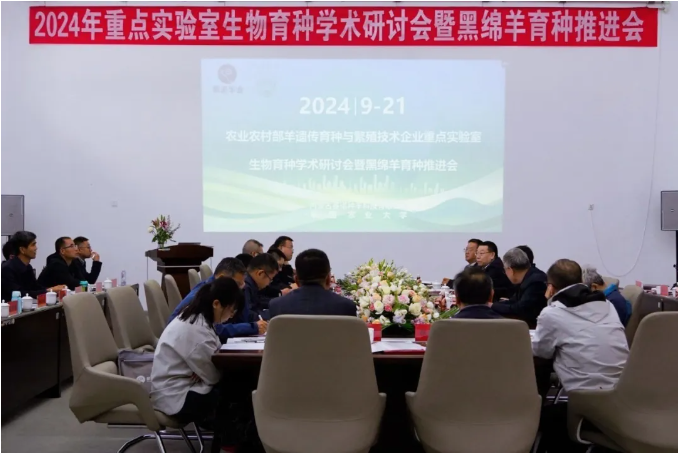 1727144676385607.png image.png