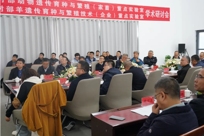 1727144706380702.png image.png